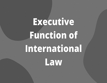 Executive Function of International Law
