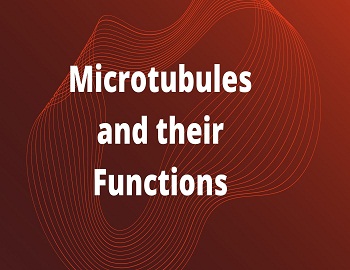 Microtubules and their Functions