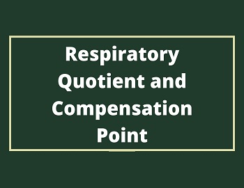Respiratory Quotient and Compensation Point