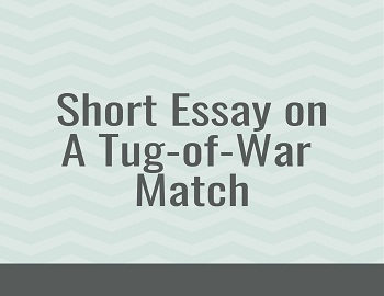Essay on A Tug-of-War Match