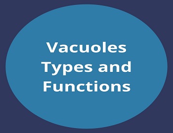 Vacuoles Types and Functions