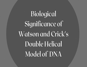 Biological Significance of Watson and Crick's Double Helical Model of DNA