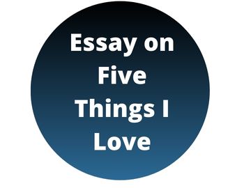 Essay on Five Things I Love