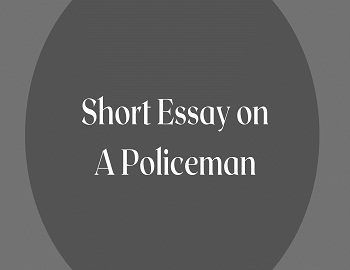 Short Essay on A Policeman