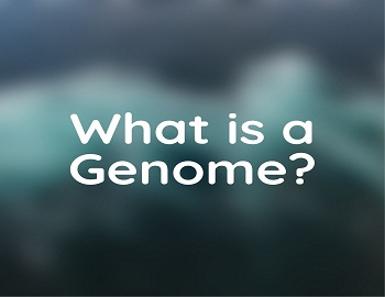 What is a Genome?