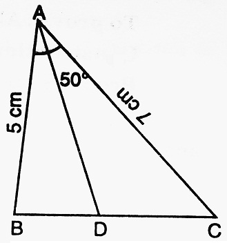 Internal Bisector of an Angle of a Triangle Diagram