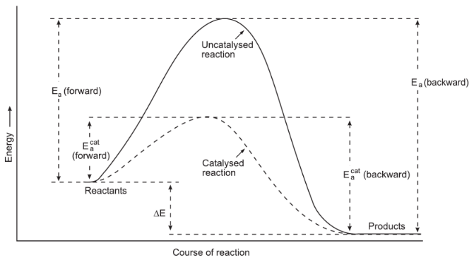 presence of a catalyst affecting the rate of reaction