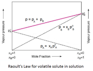 Vapour Pressure & Raoult's Law | Class 12th Chemistry Notes