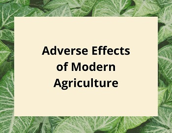 Adverse Effects of Modern Agriculture