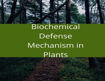 Biochemical Defense Mechanism in Plants