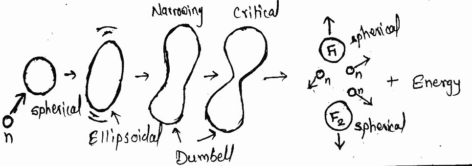 Nuclear Fission and Liquid Drop Model 2 Bohr and Wheeler Liquid Drop Model