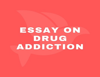 Essay on Drug Addiction