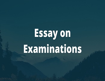 Essay on Examinations
