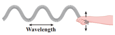 Examples of transverse wave