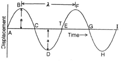 Wave Motion Diagram