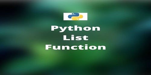Python List Function