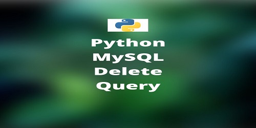 Python MySQL Delete Query