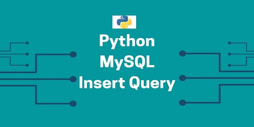 Python MySQL Insert Query
