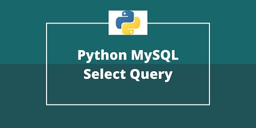 Python MySQL Select Query