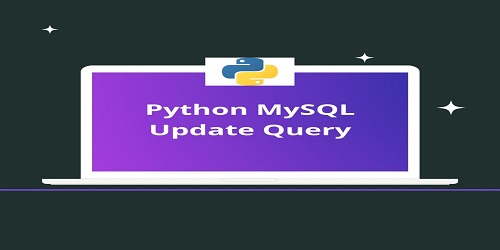 Python MySQL Update Query