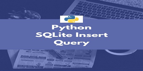 Python SQLite Insert Query