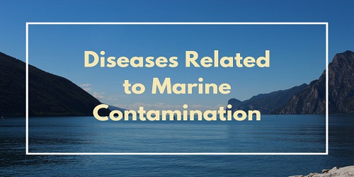Diseases Related to Marine Contamination