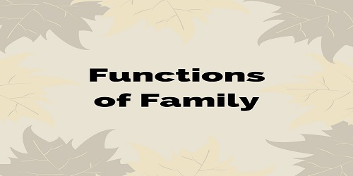 Functions of Family