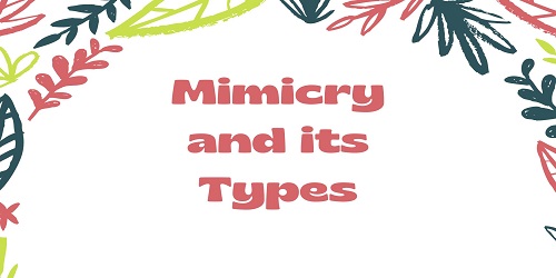 Mimicry and its Types