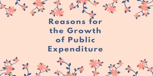 Reasons for the Growth of Public Expenditure