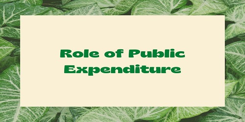 Role of Public Expenditure