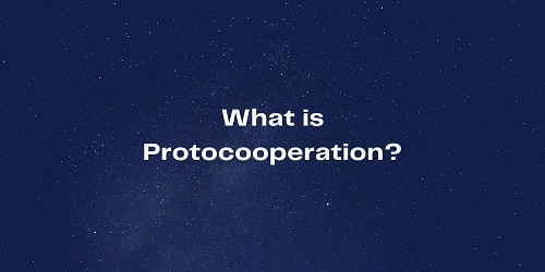 What is Protocooperation
