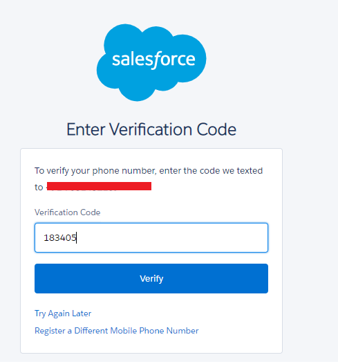 saleforce verification code