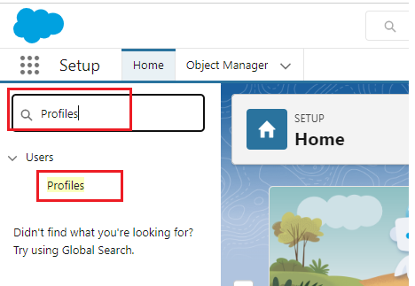 select profiles in salesforce