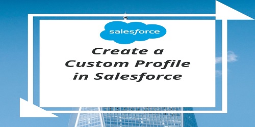 Create a Custom Profile in Salesforce