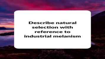 Describe natural selection with reference to industrial melanism