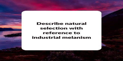 Describe natural selection with reference to industrial melanism