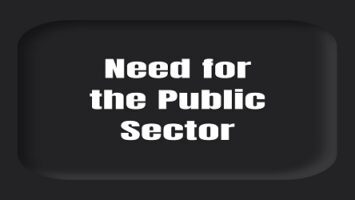 Need for the Public Sector