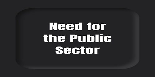 Need for the Public Sector