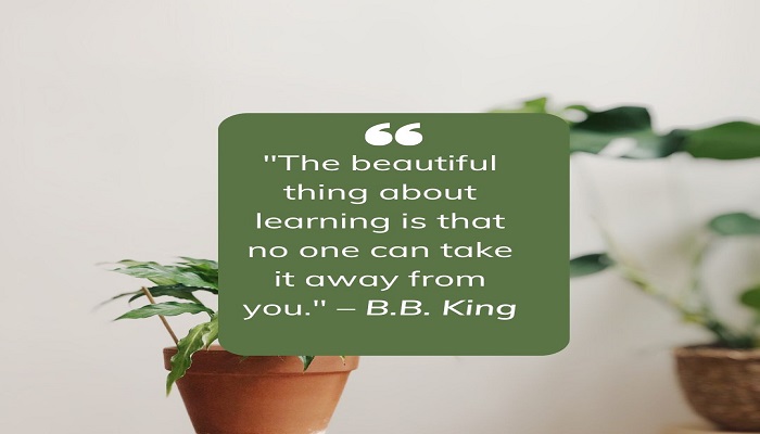The beautiful thing about learning is that no one can take it away from you. – B.B. King