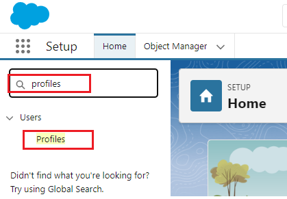search for profiles in salesforce