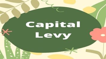 Capital Levy