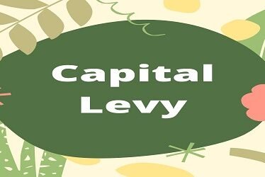 Capital Levy