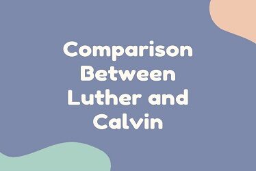 Comparison Between Luther and Calvin