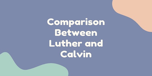 Comparison Between Luther and Calvin