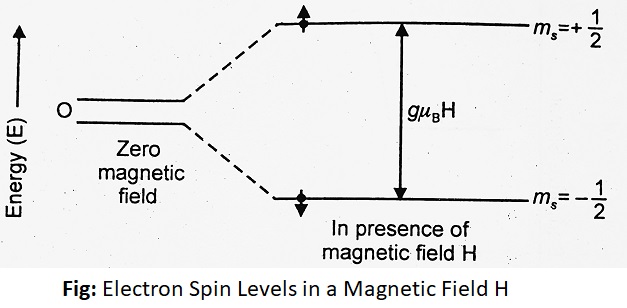 Electron Spin Levels in a Magnetic Field H