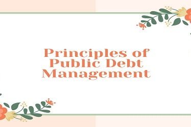 Principles of Public Debt Management