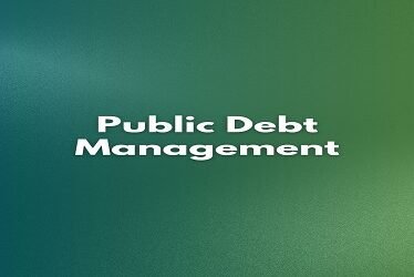 Public Debt Management