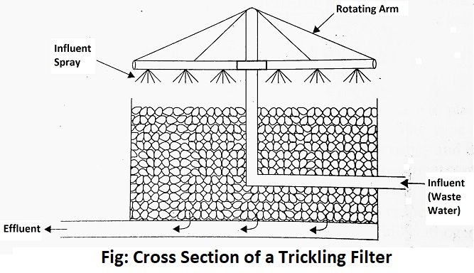 Wastewater Treatment 3 Trickling Filters Diagram