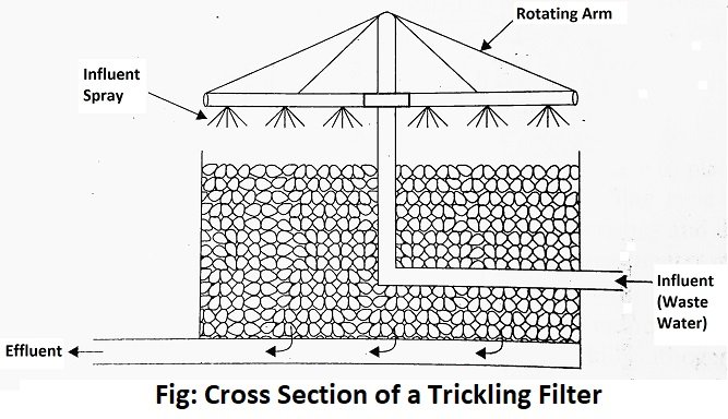 Trickling Filters Diagram