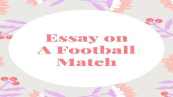 Essay on A Football Match